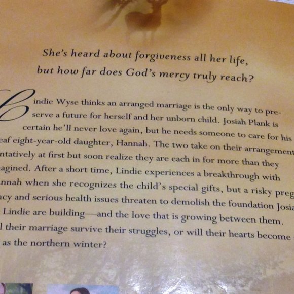 3 for $10 book sale!  Amish Romance - A Miracle of Hope, Amish wonders novel - Picture 4 of 6